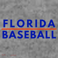 Florida Fl Baseball Fans Toddler Hoodie thumb 2