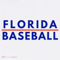 Florida Fl Baseball Fans Button thumb 1