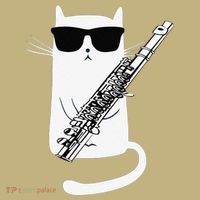 Funny Funny Cat Wearing Sunglasses Playing Flute Great Gift Hoodie thumb 7
