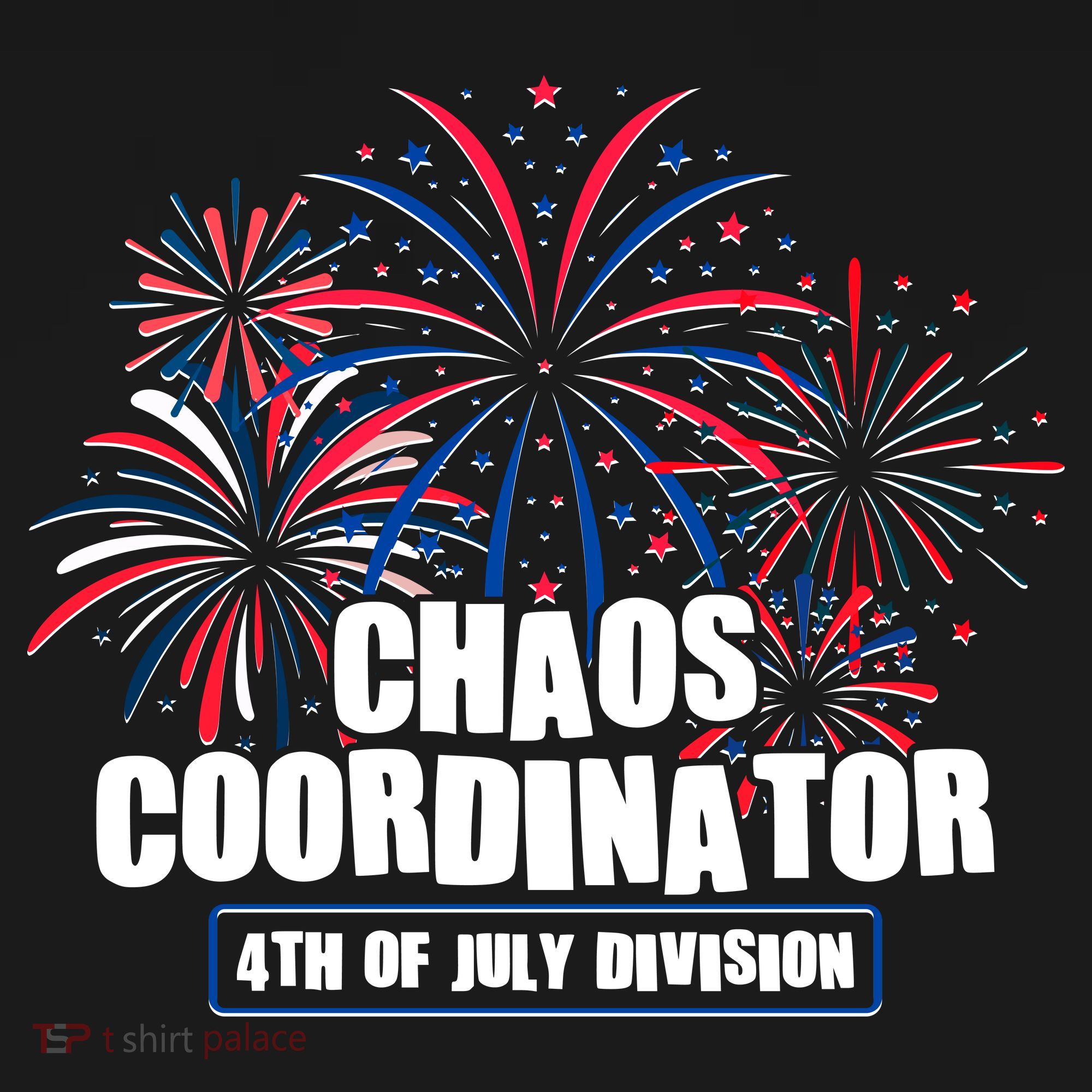 Funny Fireworks Chaos Coordinator 4th Of July Division T-Shirt