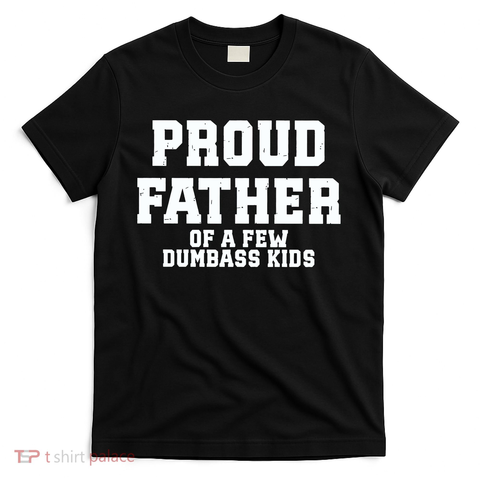 Funny Father Day Proud Father Of A Few Dumbass T-Shirt