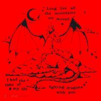 Funny Fighting Dragons With You Speak Now Santa Hat thumb 1