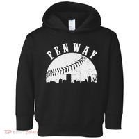 Fenway Toddler Hoodie thumb 0