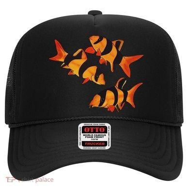 Freshwater Fish Fun Clown Loach Fish Aquarium Design Tiger Botia Hat
