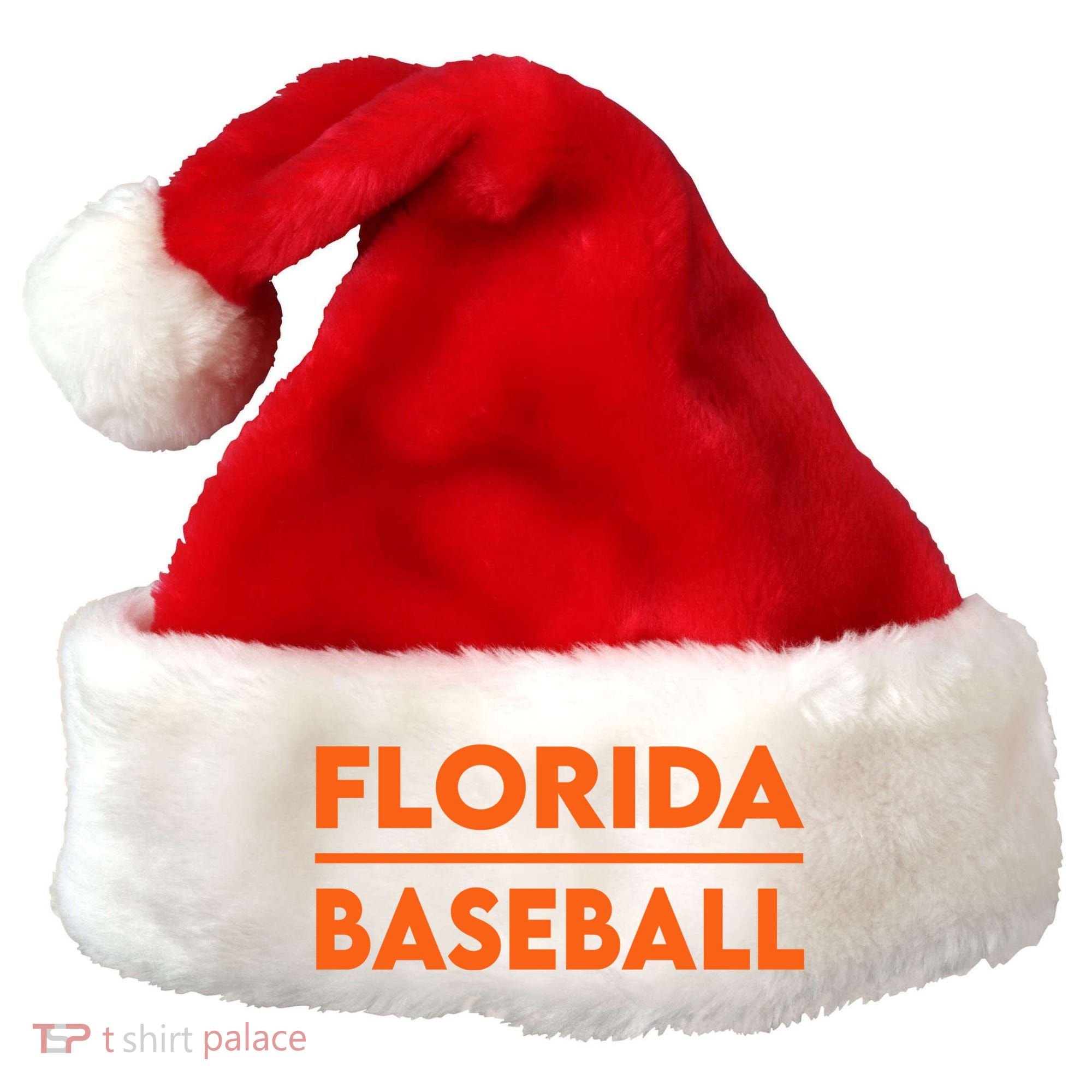 Florida FL Football Fans Gator State Pride Santa Hat