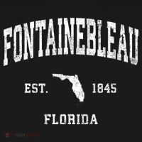 Fontainebleau Florida Fl Vintage Athletic T-Shirt thumb 7