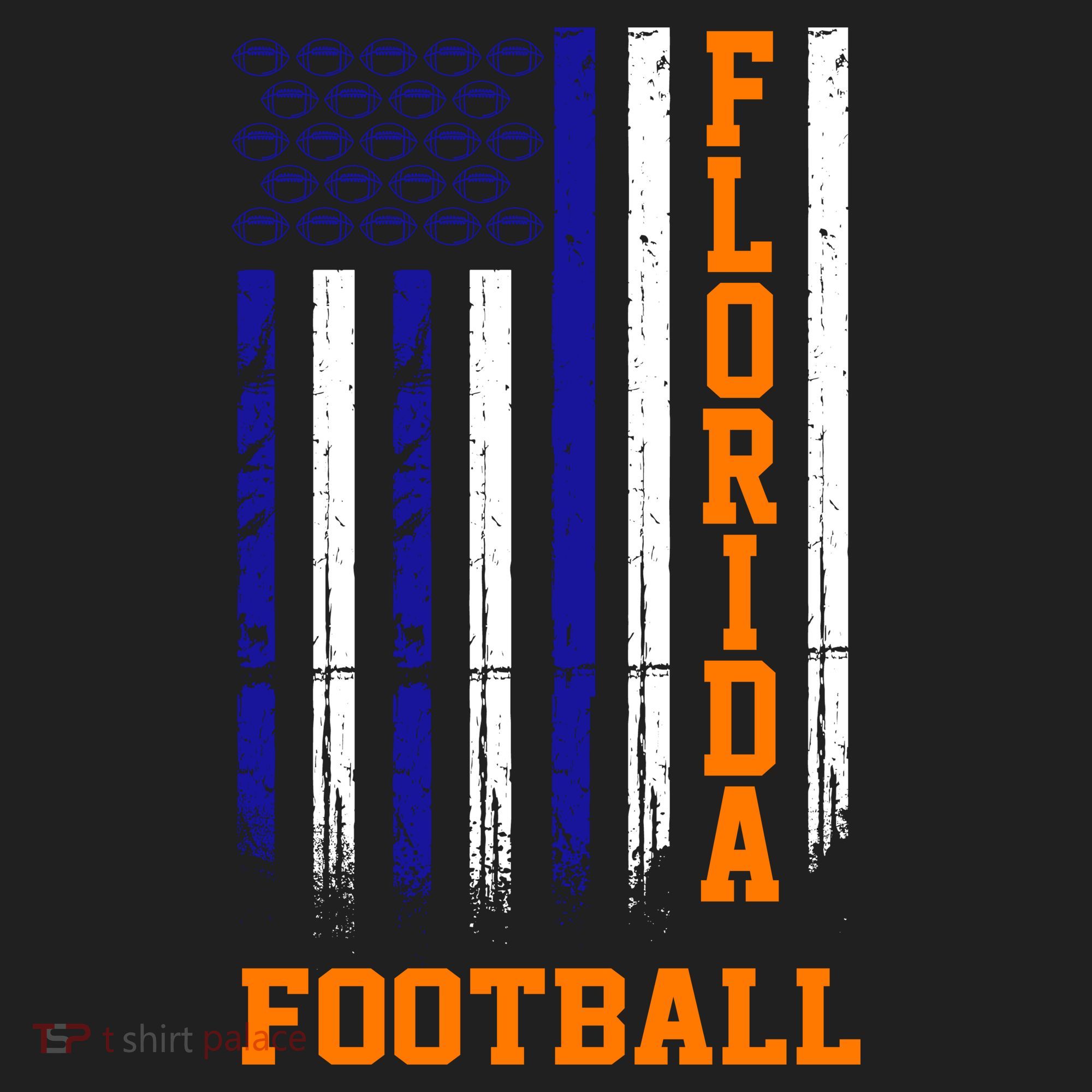 Florida Football Fan American Flag Beanie