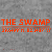 Florida Fl Fans The Swamp Toddler Hoodie thumb 2