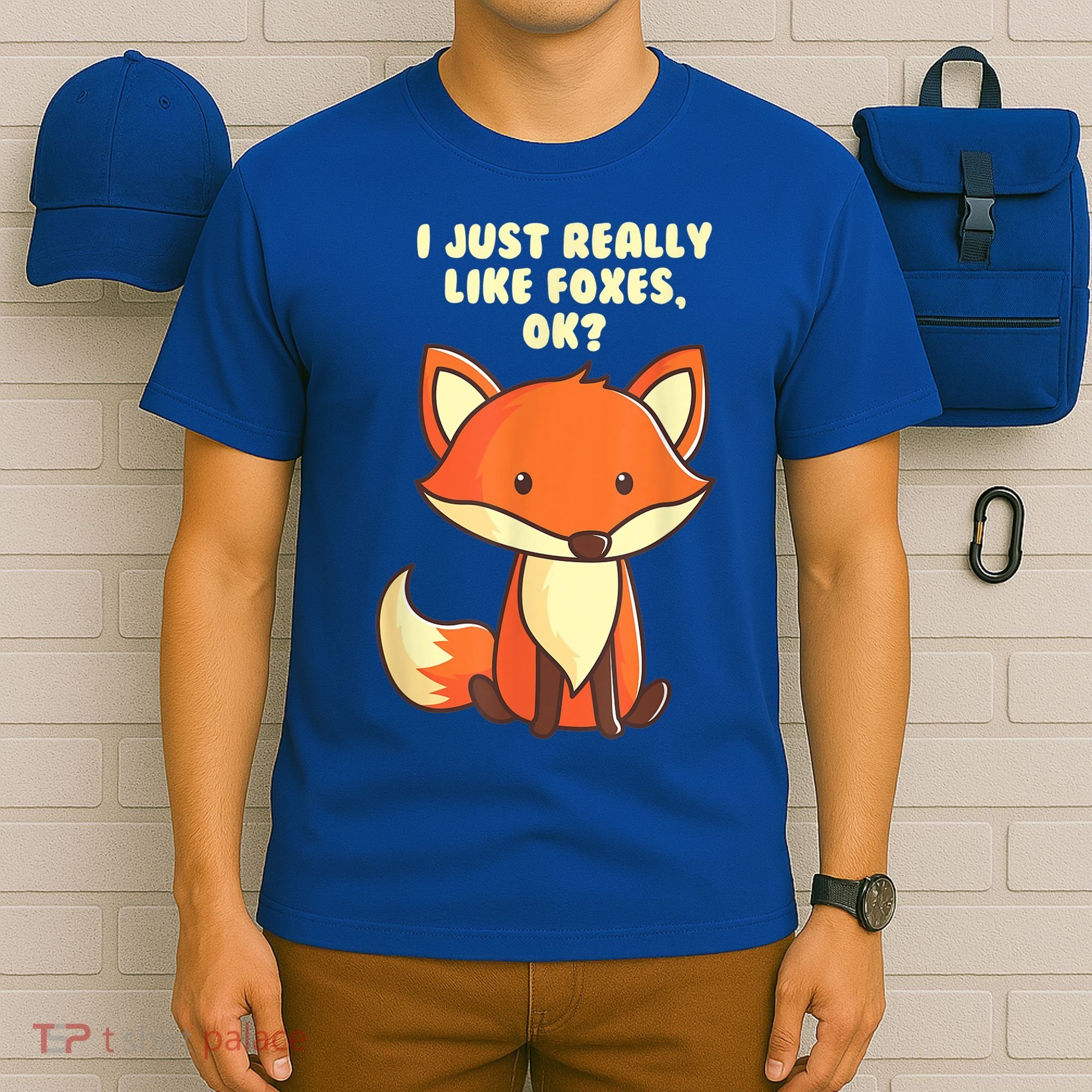 Funny Fox Gift I Just Really Like Foxes Ok Gift T-Shirt