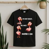 Funny Flamingo Humor T-Shirt thumb 2