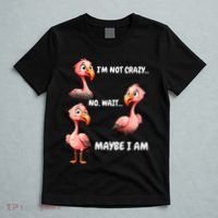 Funny Flamingo Humor T-Shirt thumb 5