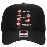 Funny Flamingo Humor Hat thumb 0