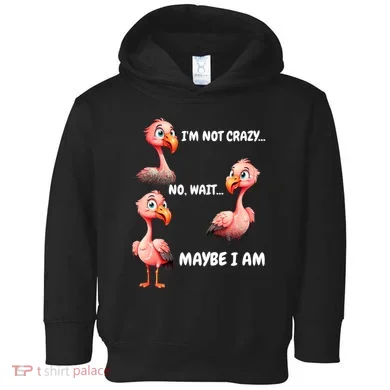 Toddler Hoodie