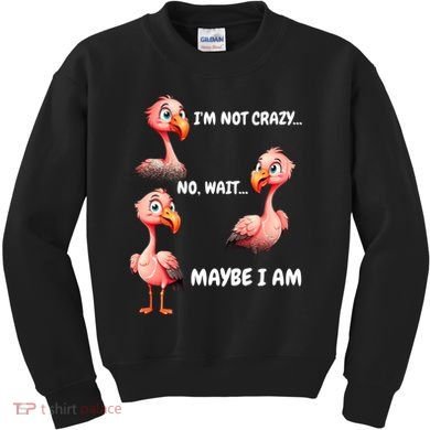 Funny Flamingo Humor Kids Sweatshirt