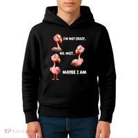 Funny Flamingo Humor Kids Hoodie thumb 4
