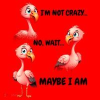 Funny Flamingo Humor Santa Hat thumb 1