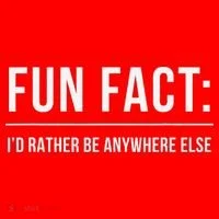 Fun Fact Id Rather Be Anywhere Else Funny Meme Santa Hat thumb 1