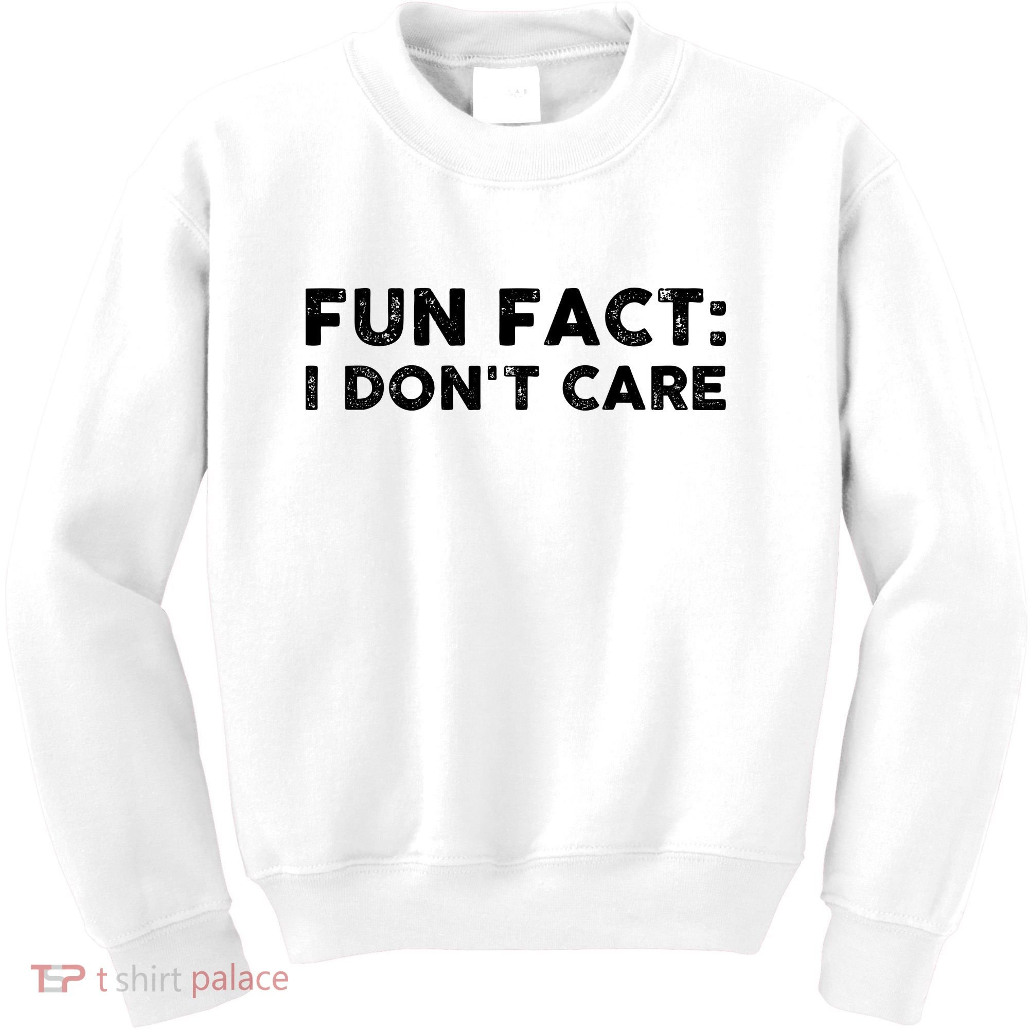 Fun Fact: I Don't Care Kids Sweatshirt