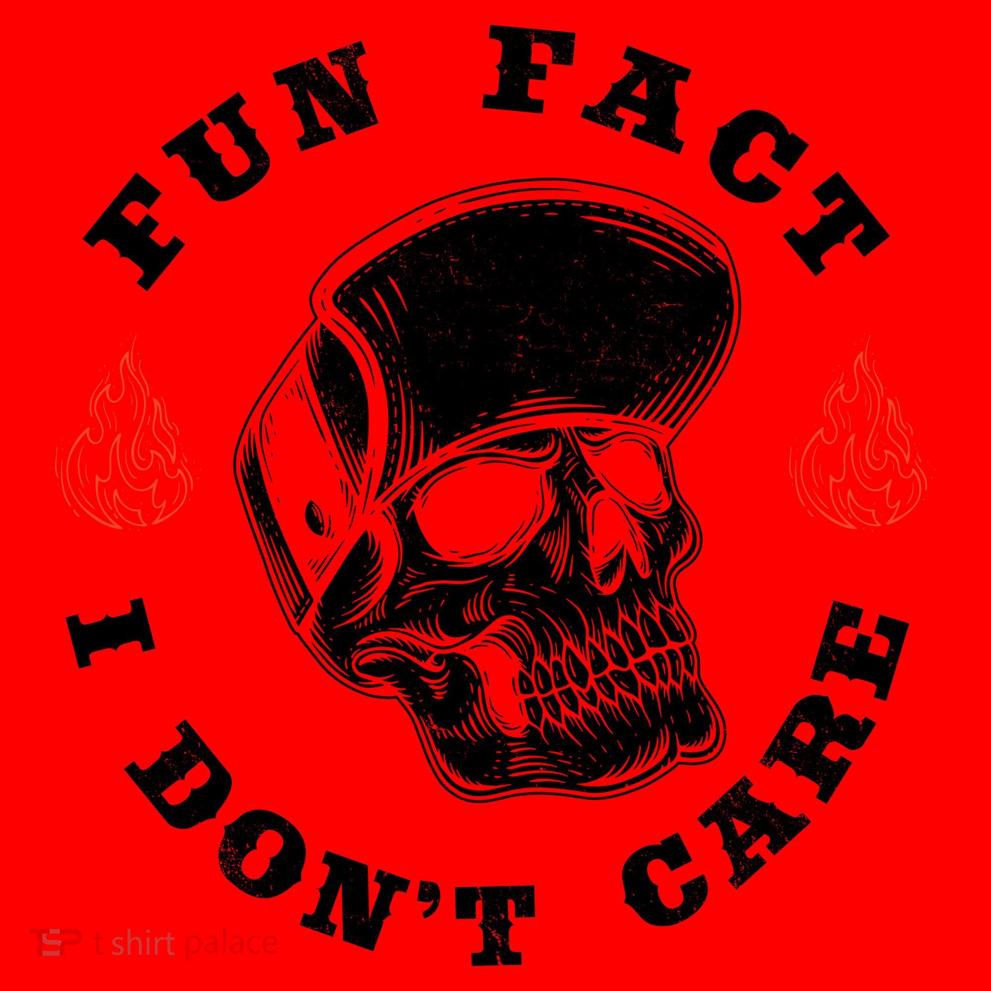 Fun Fact I Don't Care Funny Skeleton Sarcastic Santa Hat