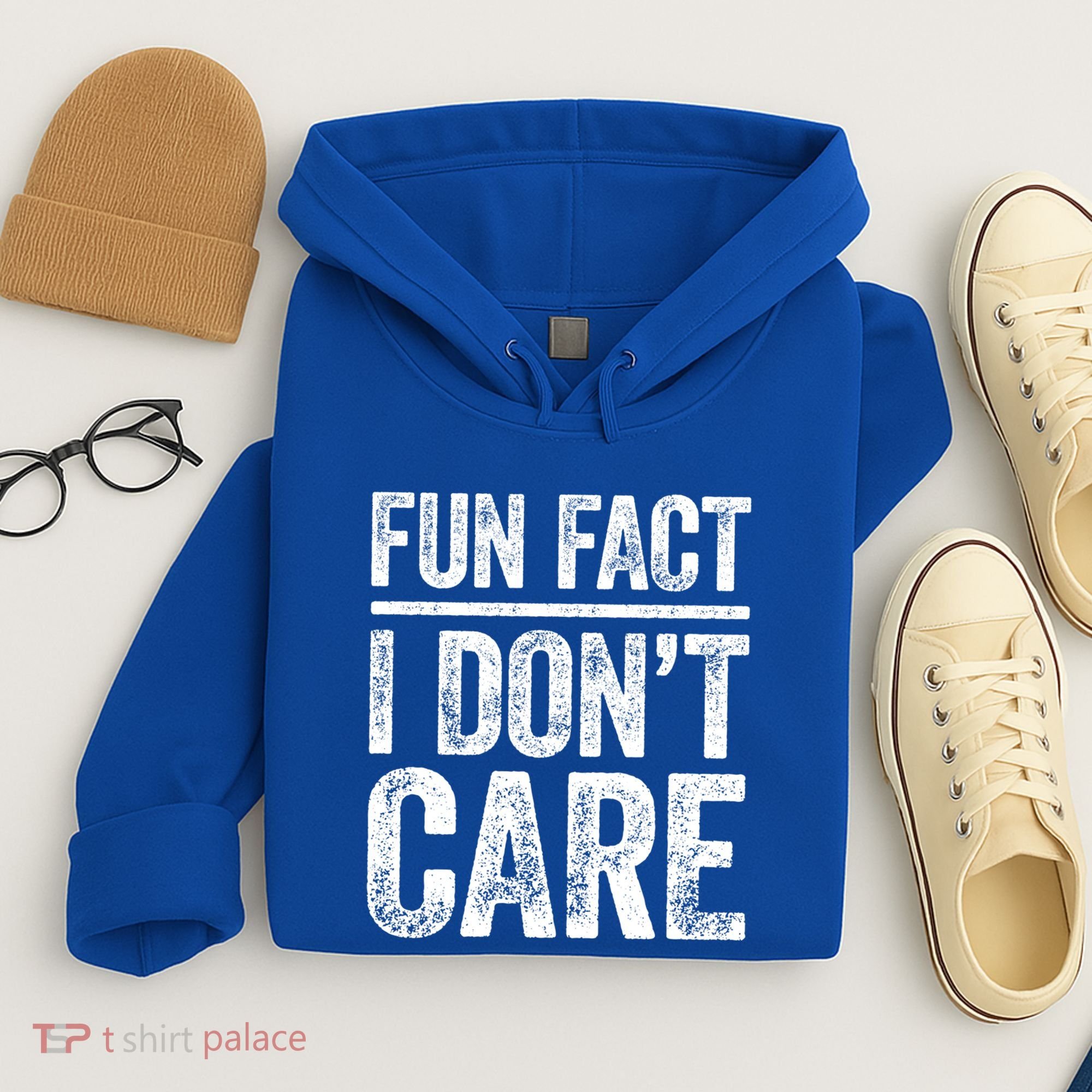 Fun Fact I Don't Care Great Gift Sarcastic Meaningful Gift Cute Gift Hoodie