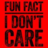 Fun Fact I Don't Care Great Gift Sarcastic Meaningful Gift Cute Gift Santa Hat thumb 1