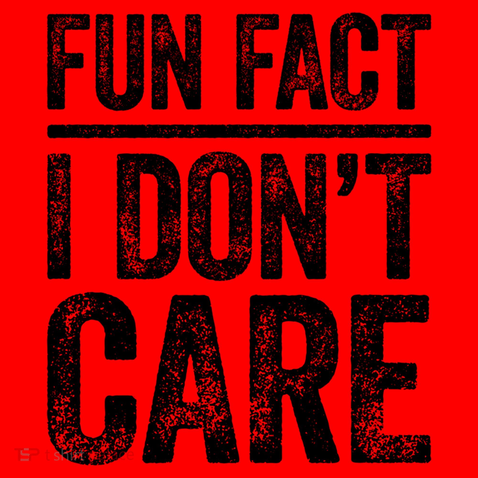 Fun Fact I Don't Care Great Gift Sarcastic Meaningful Gift Cute Gift Santa Hat
