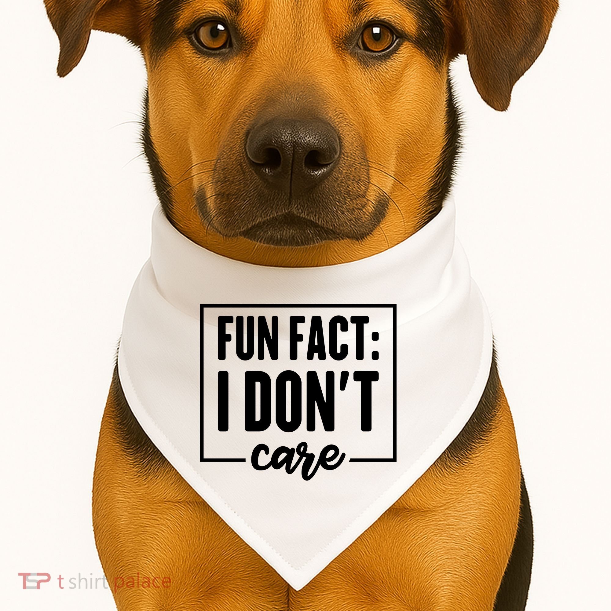Fun Fact I Don't Care USA-Made Doggie Bandana
