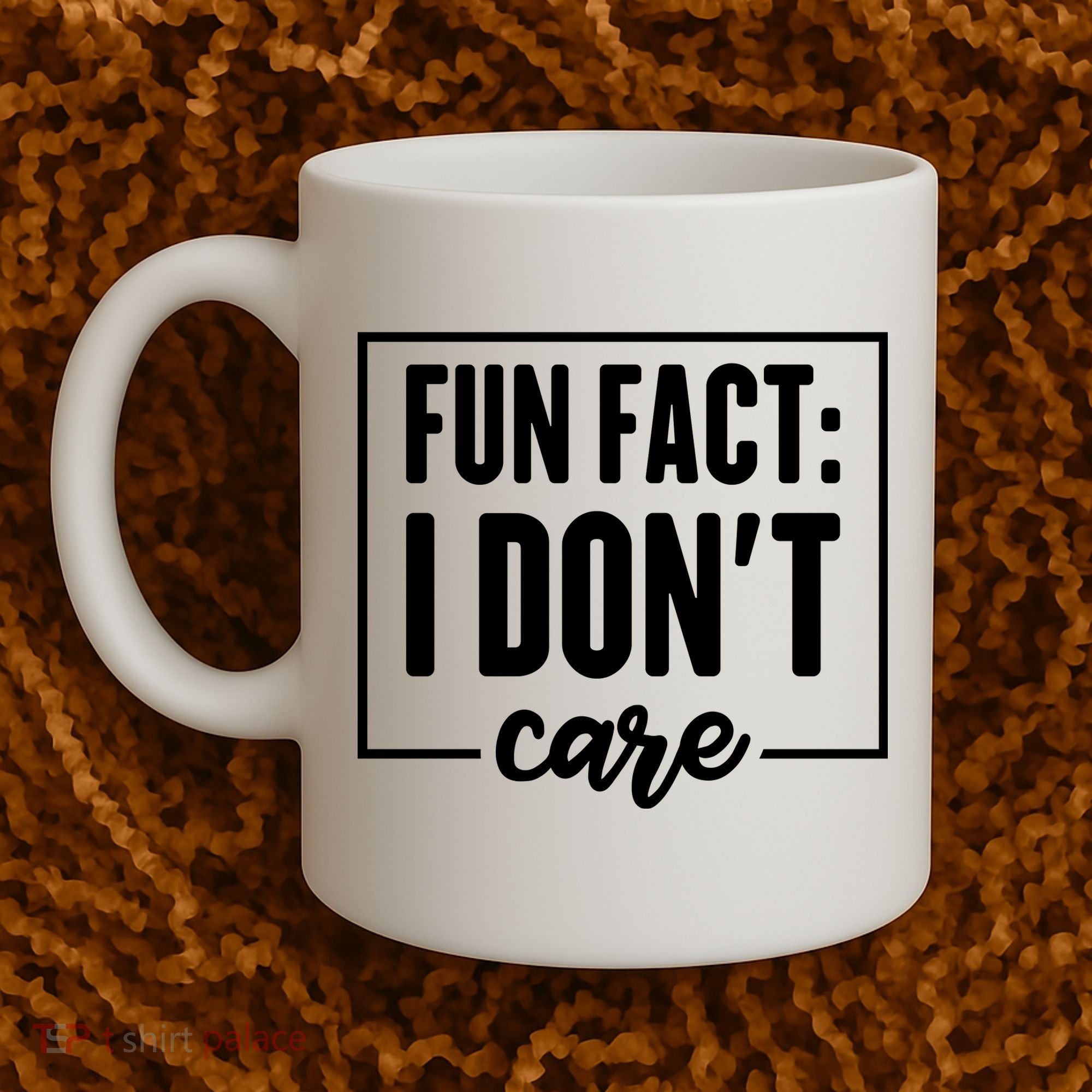 Fun Fact I Don't Care Coffee Mug