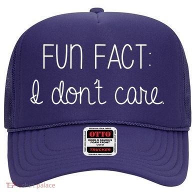 Fun Fact I Don't Care Funny Hat