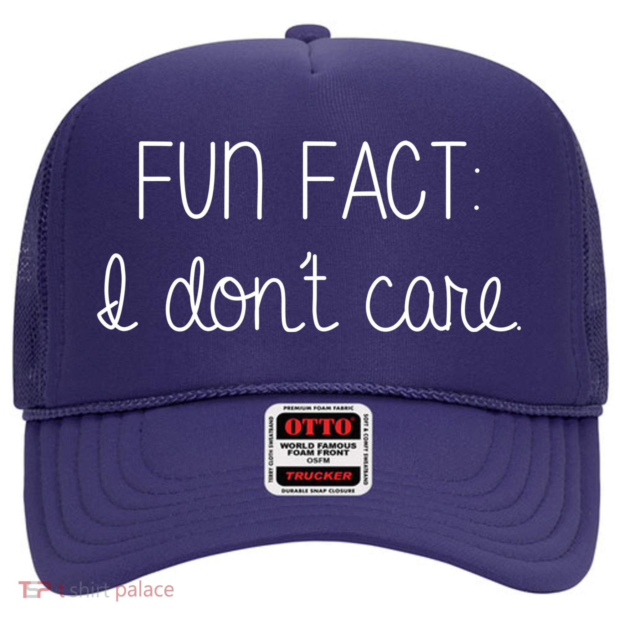 Fun Fact I Don't Care Funny Hat