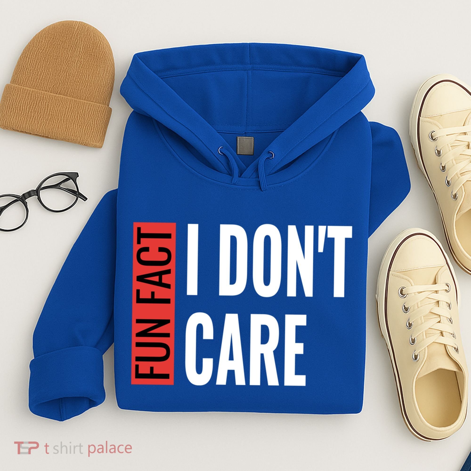 Fun Fact I Don't Care Sarcastic Saying Humorous Great Gift Hoodie