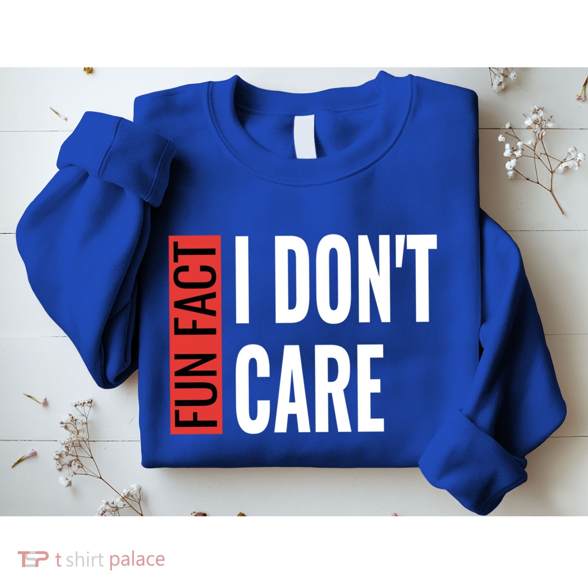 Fun Fact I Don't Care Sarcastic Saying Humorous Great Gift Sweatshirt