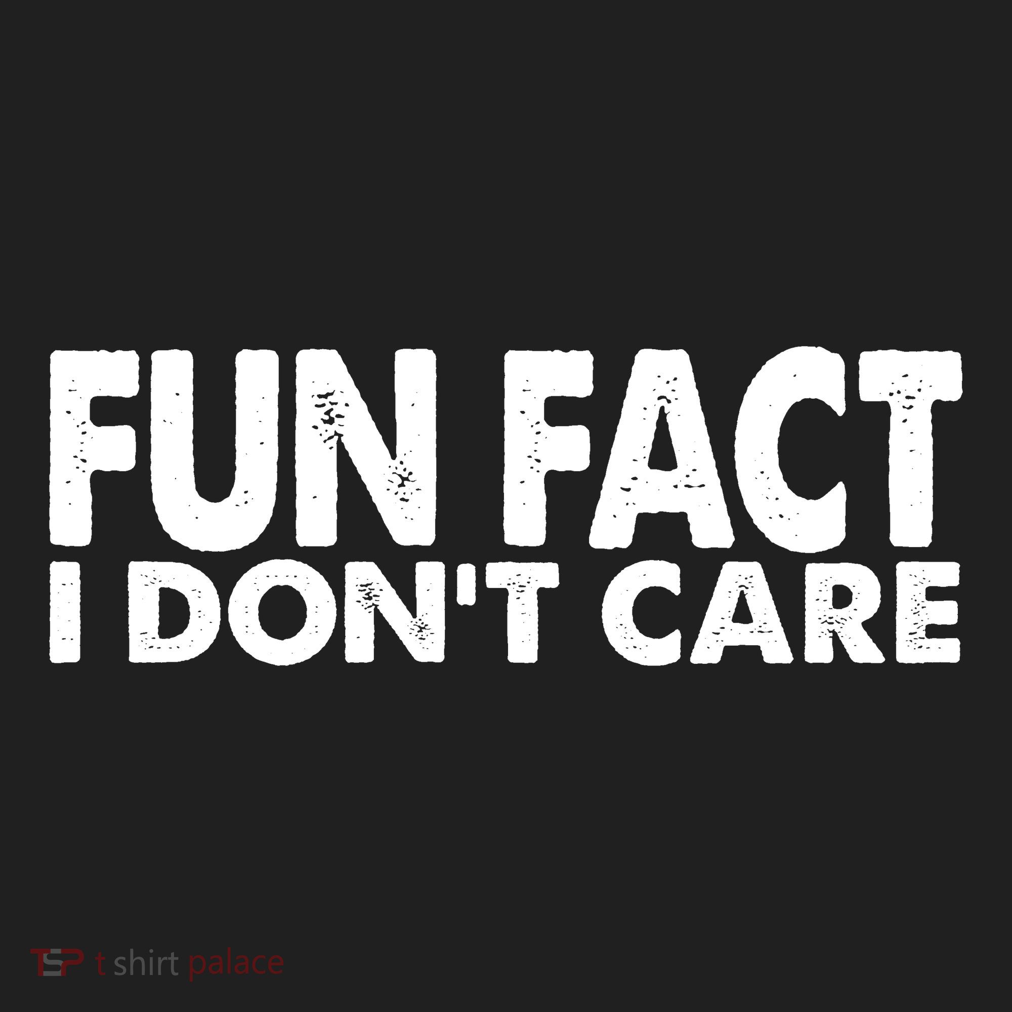 Fun Fact I Dont Care Funny Women's Sweatshirt