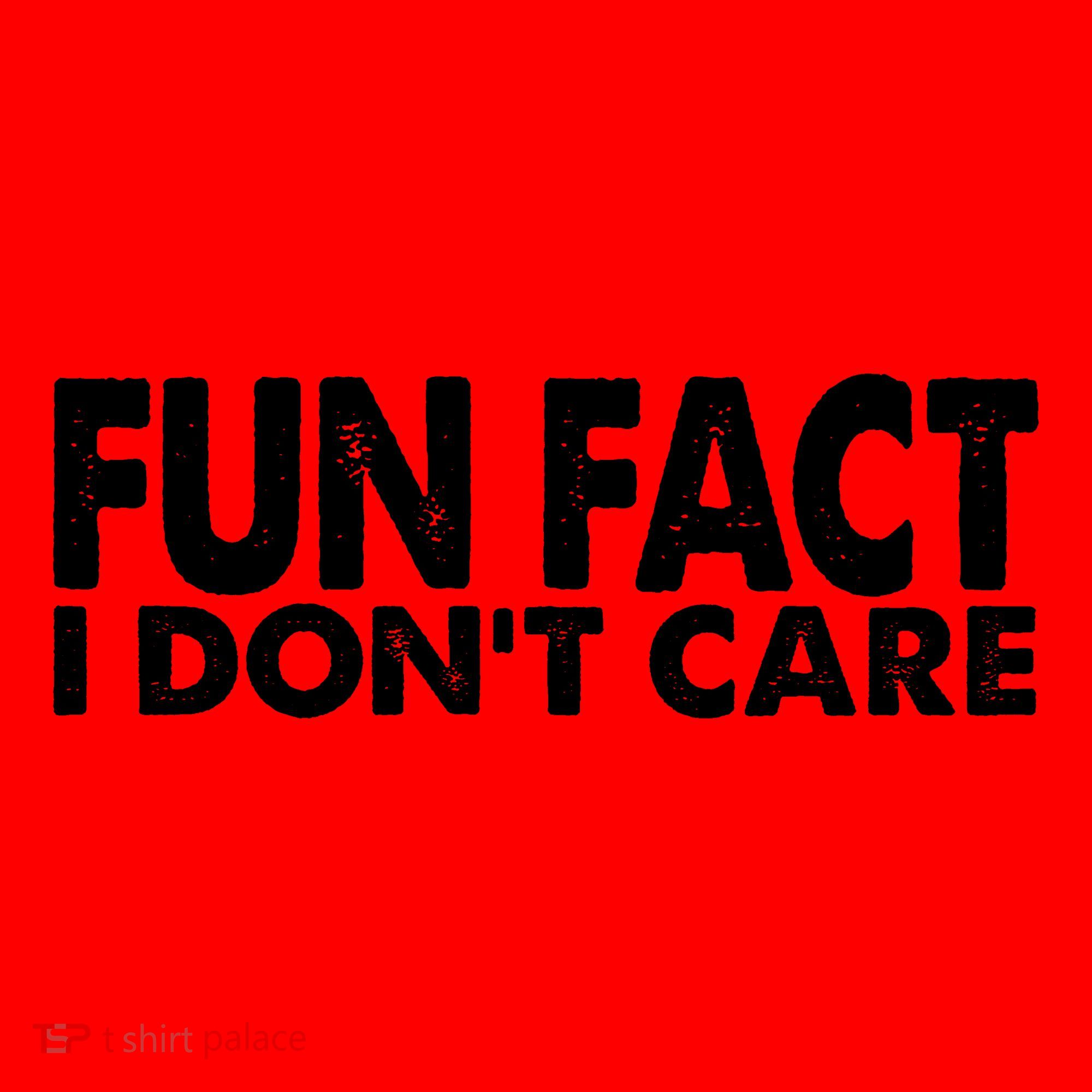 Fun Fact I Dont Care Funny Santa Hat
