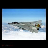 F14 Fighter Jet Toddler Hoodie thumb 2