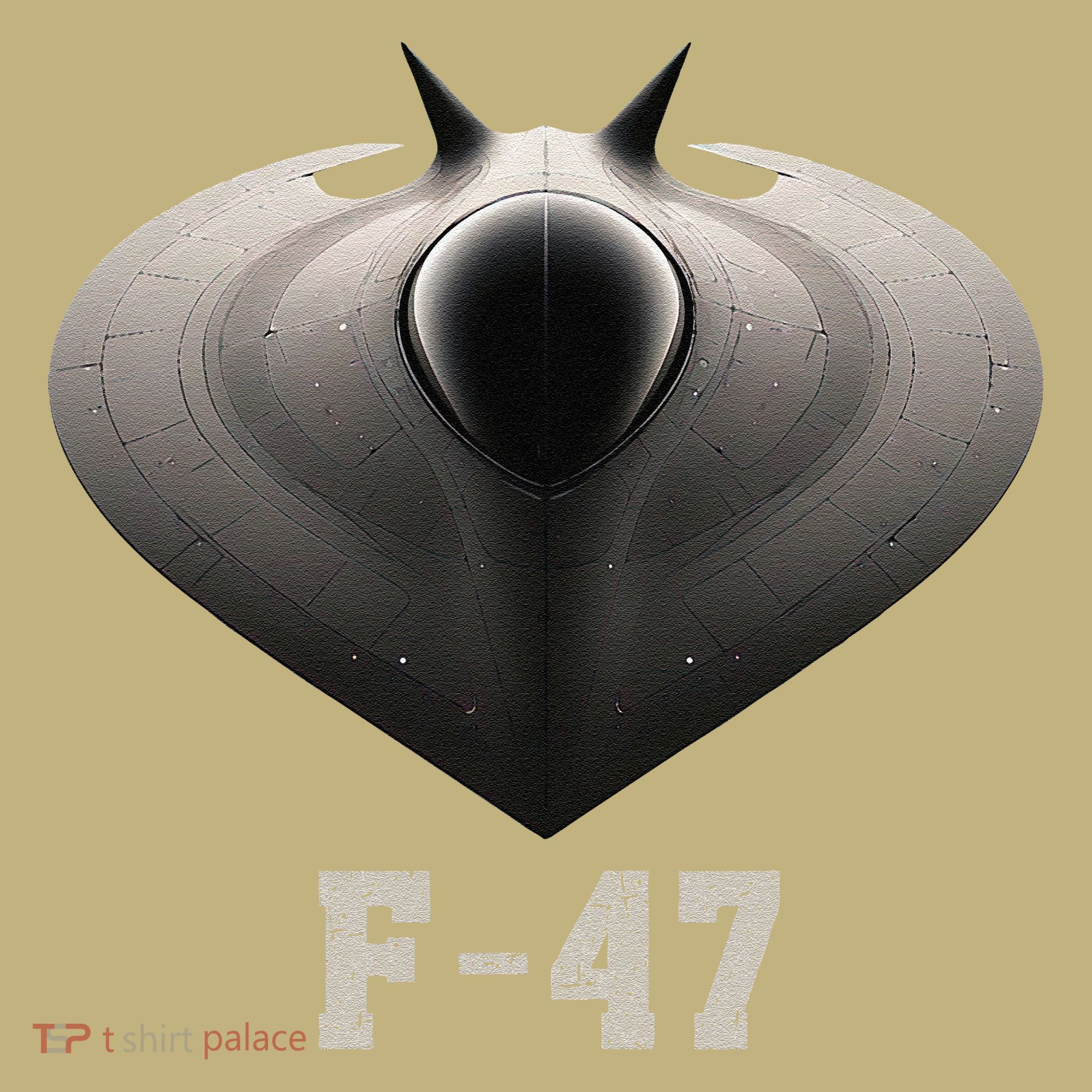 F47 Fighter Jet 6th Generation In Imagination Button