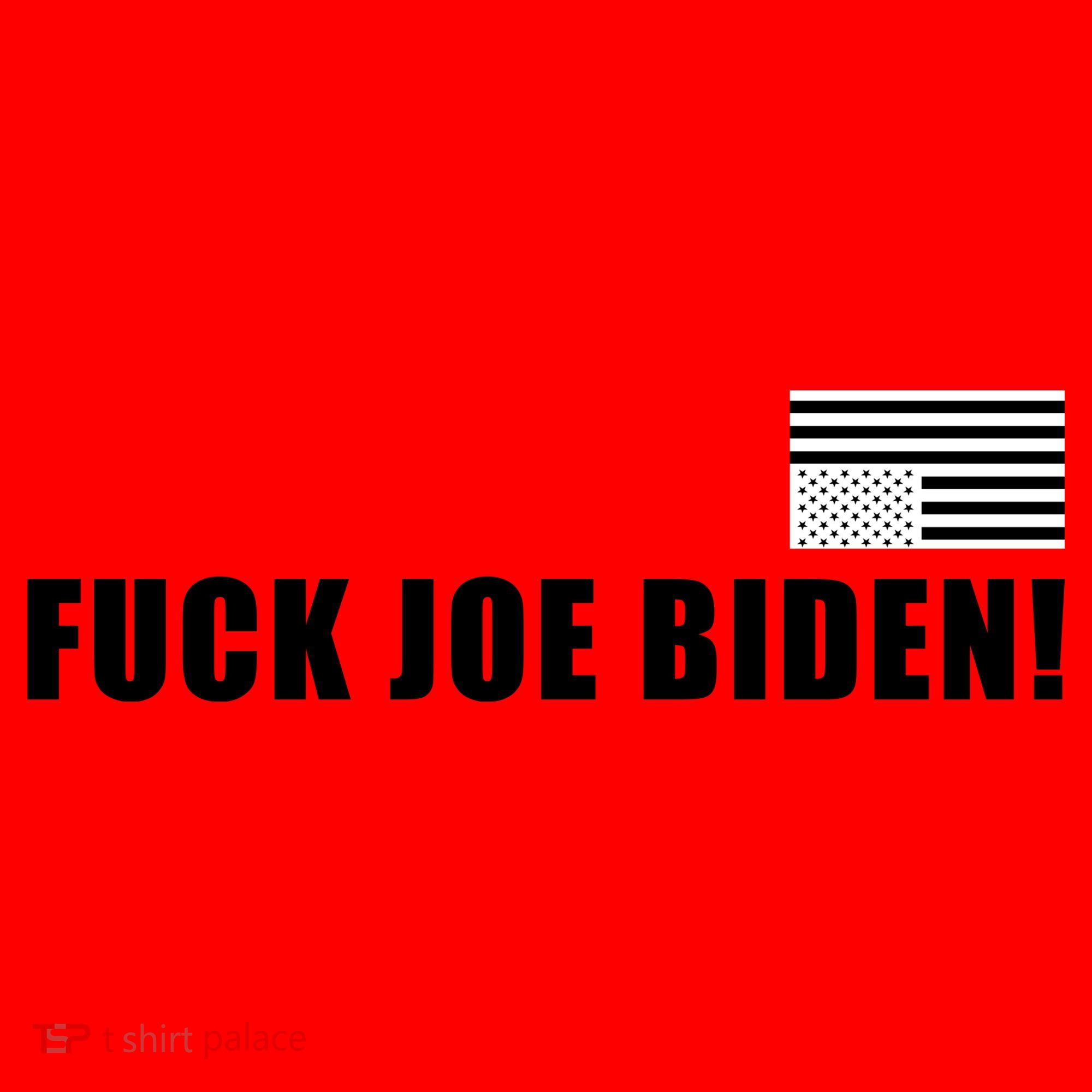 FJB F Joe Biden Upside Down American Flog Santa Hat