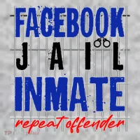 Funny Facebook Jail Inmate Repeat Offender Toddler T-Shirt thumb 2