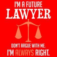 Funny Future Lawyer Law School Student Gift Santa Hat thumb 1