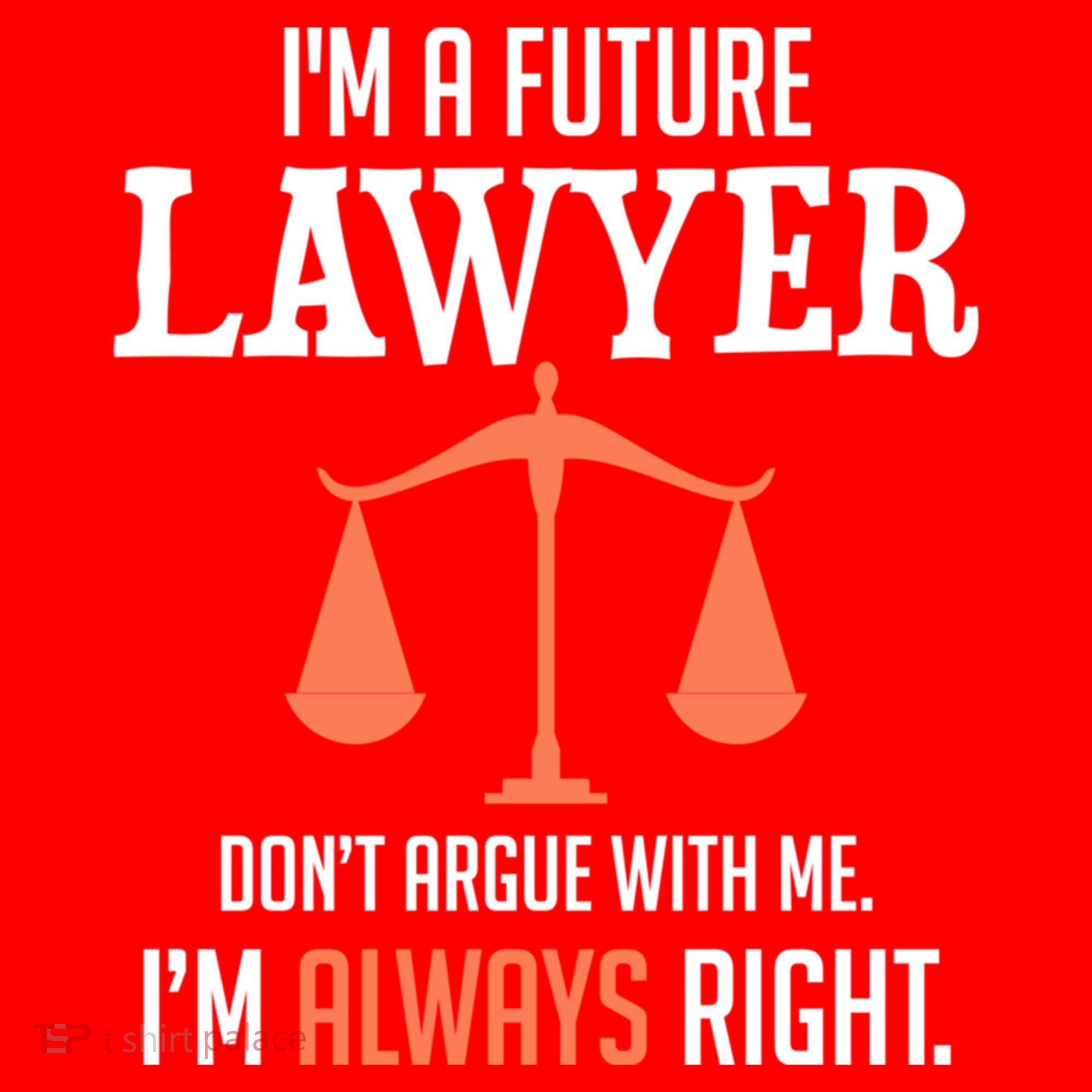 Funny Future Lawyer Law School Student Gift Santa Hat