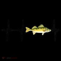 Fish Fishing Lovers Walleye Heartbeat For Freshwater Gift Coffee Mug thumb 5
