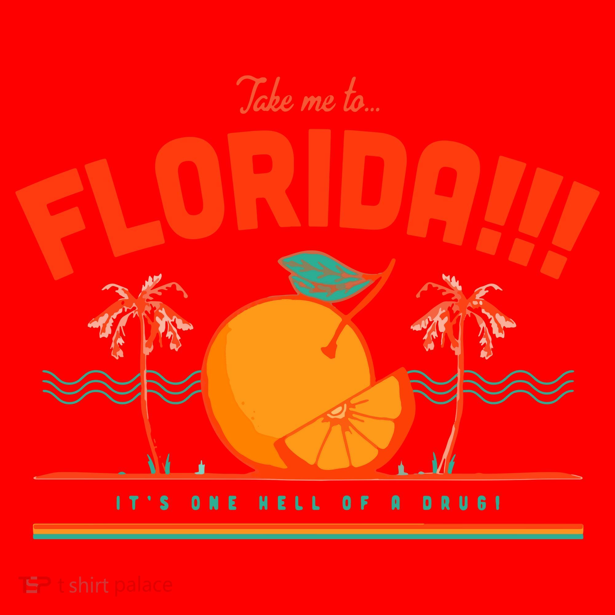 Florida!! Santa Hat