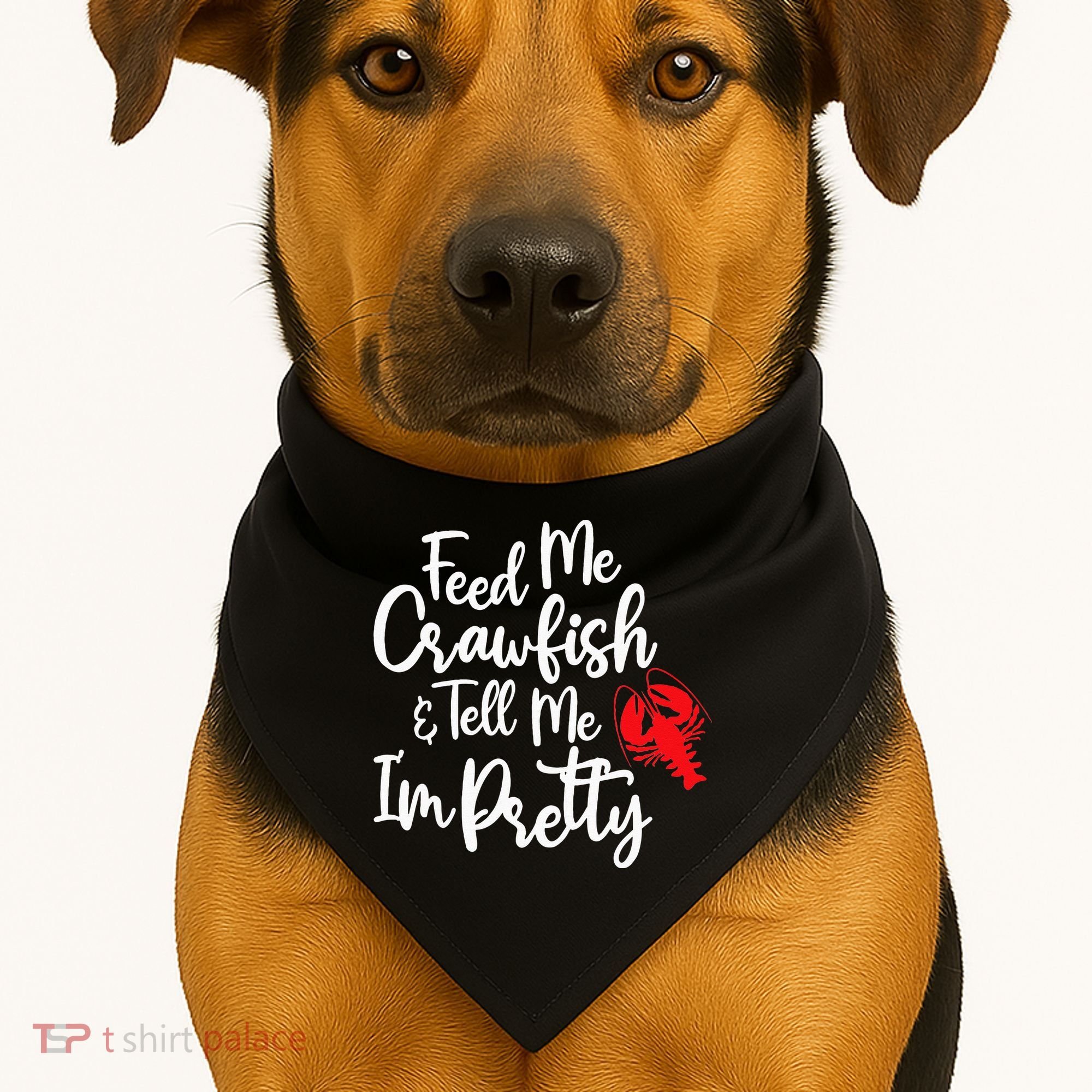 Funny Feed Me Crawfish & Tell Me I'm Pretty Tee USA-Made Doggie Bandana