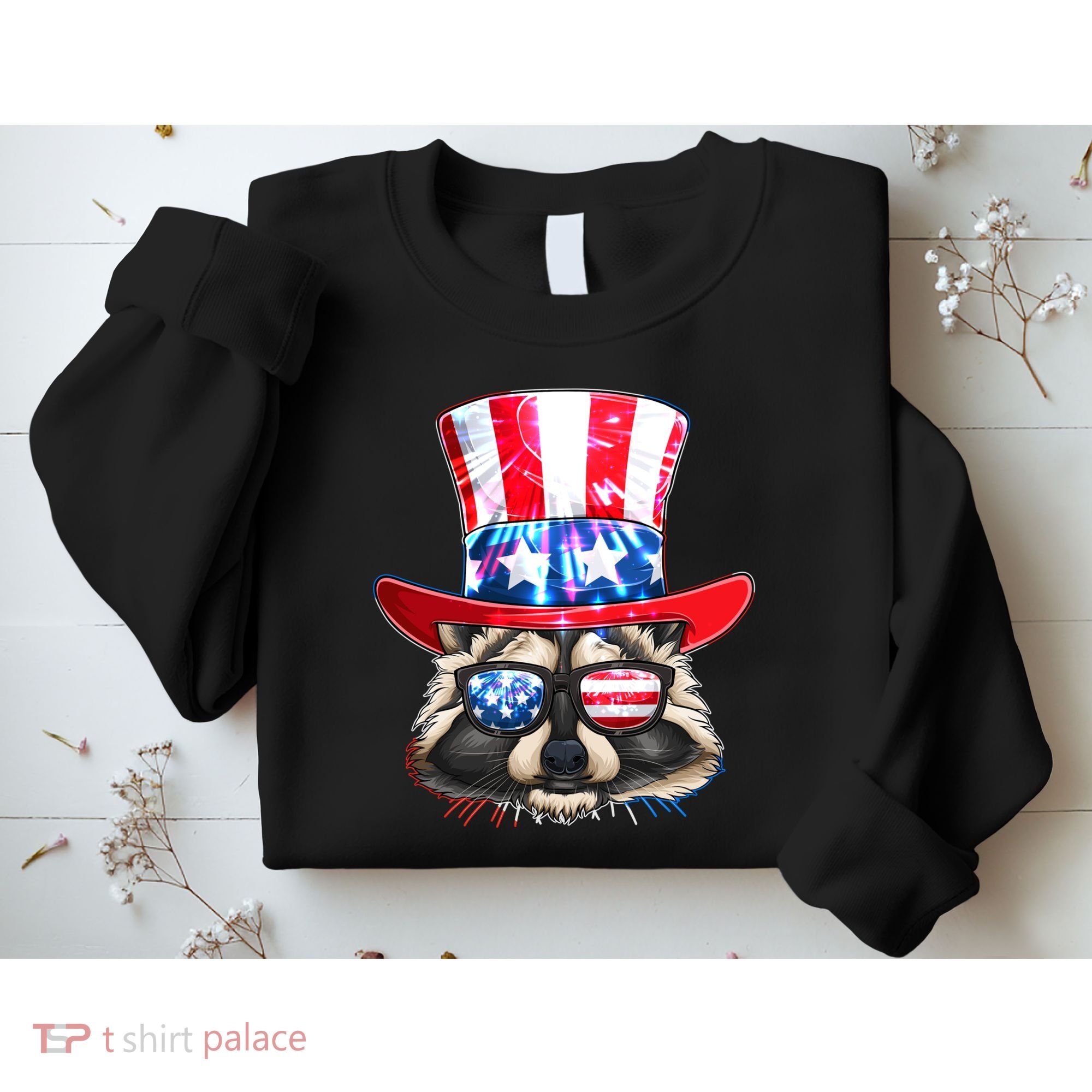 Funny Fourth Of July Fireworks Raccoon Sweatshirt