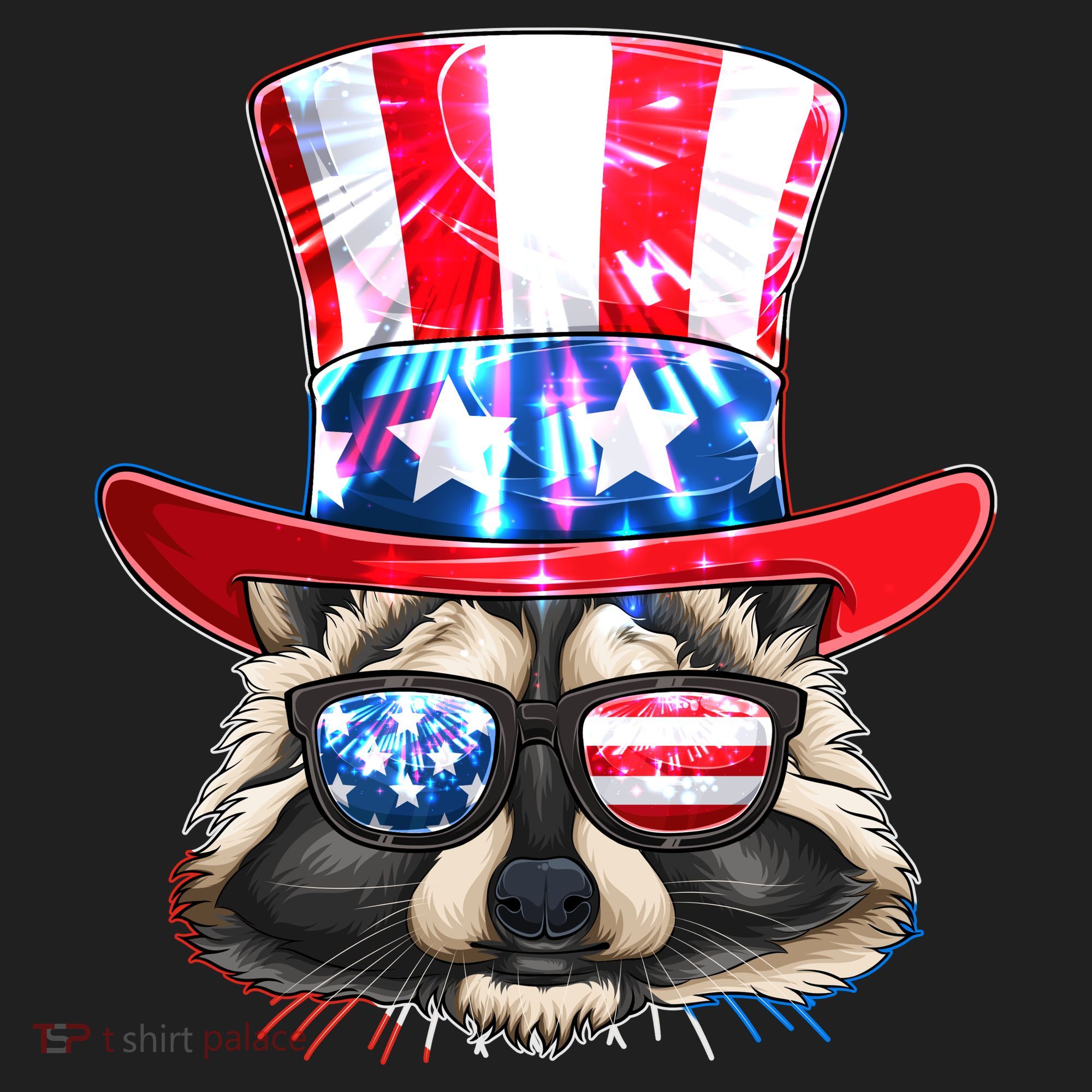 Funny Fourth Of July Fireworks Raccoon Beanie