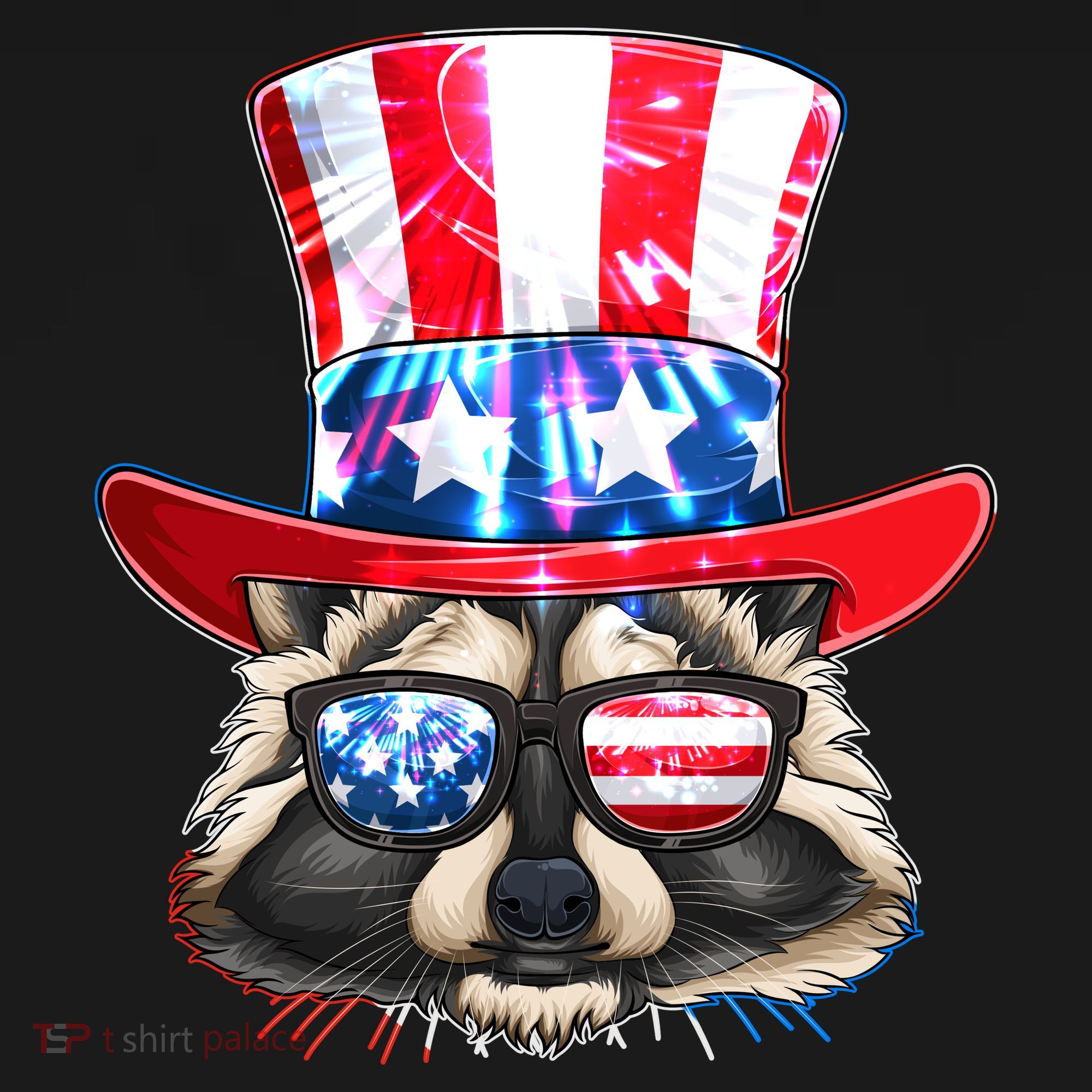 Funny Fourth Of July Fireworks Raccoon Women's Hoodie