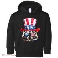 Funny Fourth Of July Fireworks Raccoon Toddler Hoodie thumb 0
