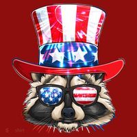 Funny Fourth Of July Fireworks Raccoon Long Sleeve Shirt thumb 2