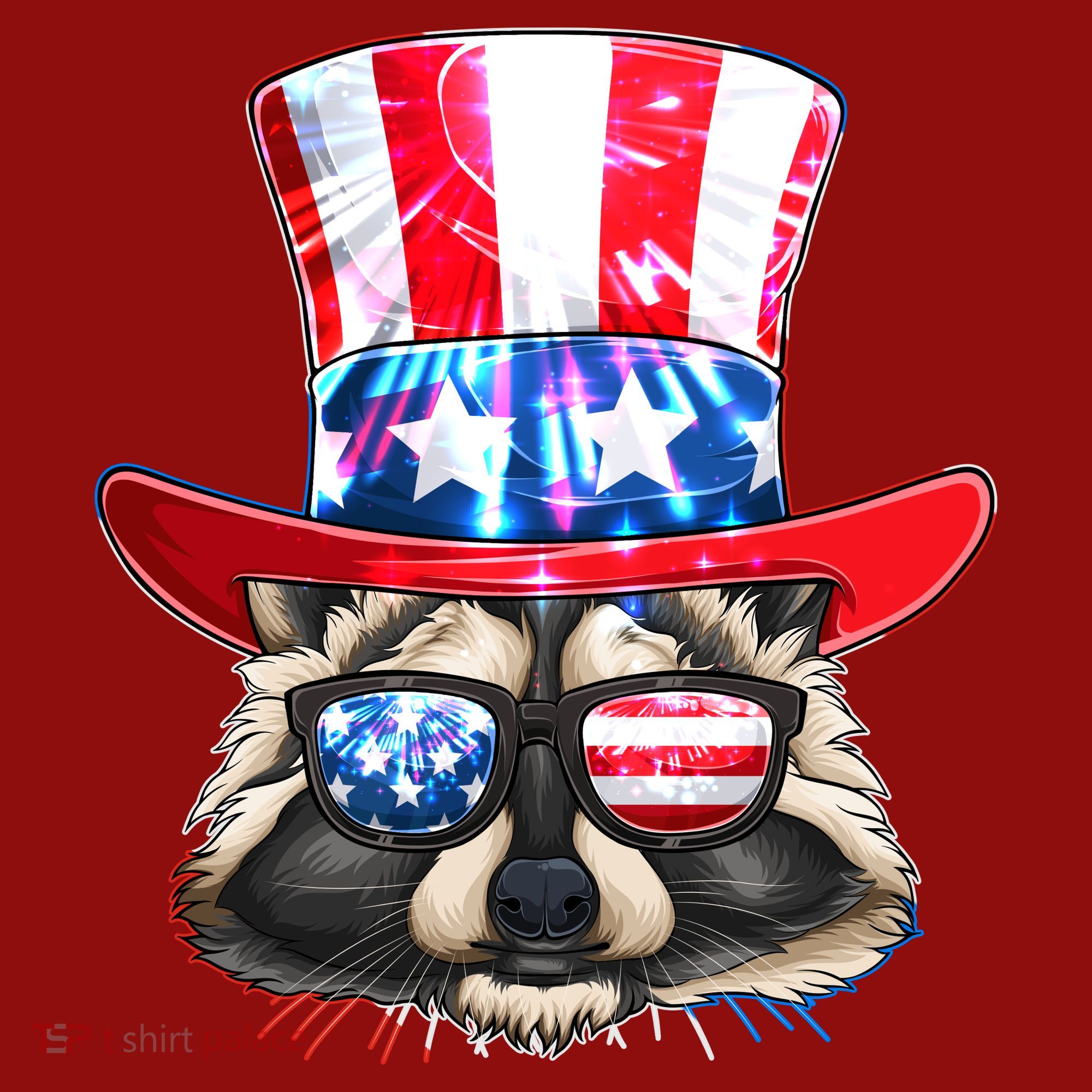 Funny Fourth Of July Fireworks Raccoon Long Sleeve Shirt