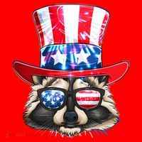 Funny Fourth Of July Fireworks Raccoon Santa Hat thumb 1